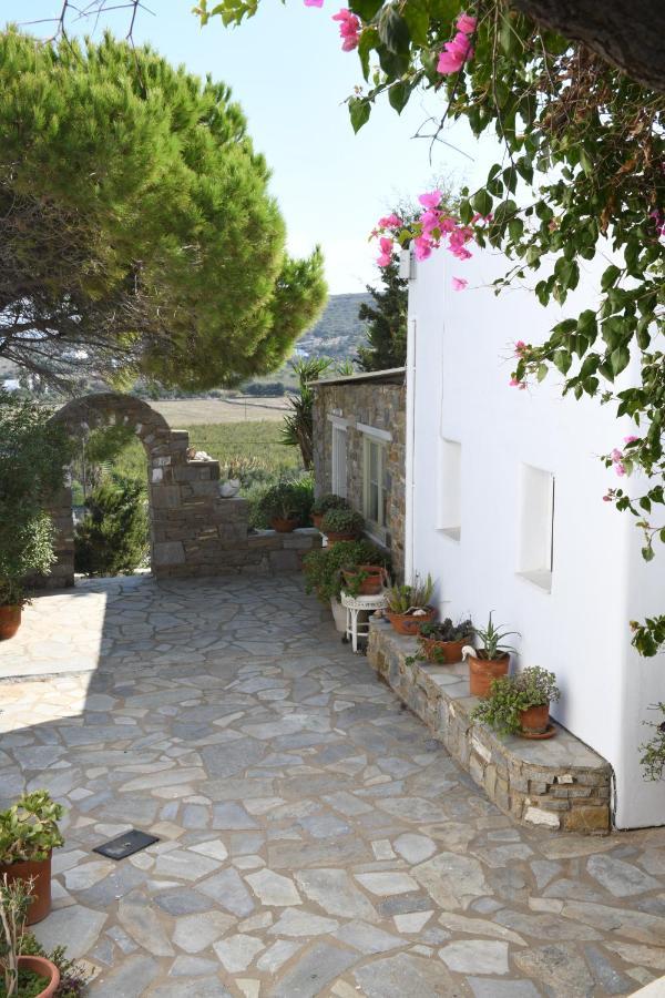 Вілла Cycladic House At The Suburbs Of Naousa Екстер'єр фото